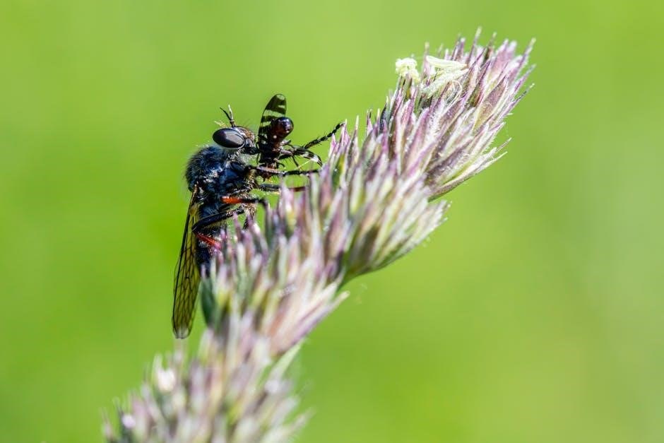 OLD MERCURY OUTBOARD SERVICE MANUALS FREE PDF FREE DOWNLOAD 2021 visual data 6